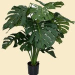 151110-40-inch-monstera-deliciosaa
