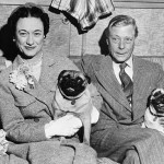 87760787_0_62d42_fd895a91_XLa