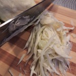 DSCN2237a
