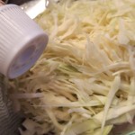 DSCN2243a