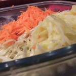DSCN2263a