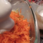 DSCN2270a