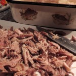 DSCN3149a