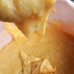 DSCN4045a