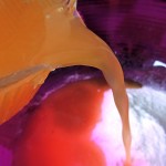 DSCN4098a