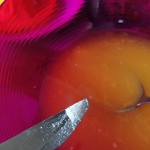 DSCN4106a