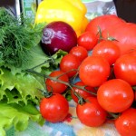 DSCN5704a