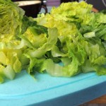 DSCN6125a