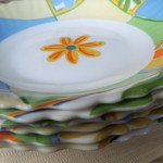 DSCN7669a