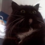 1452947340_img_20160116_102539