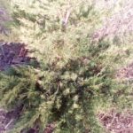 1452947422_img_20160116_101143