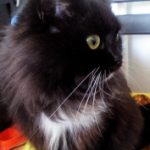 1452947484_img_20160116_102333