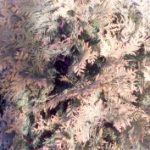 1452947488_img_20160116_101213