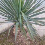 1453294286_img_20160115_114639