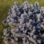 1453294298_img_20160115_120911