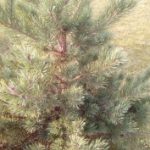 1453294304_img_20160115_120919