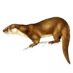 i1