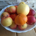 xiaomi_redmi_3_primer_foto_dnevnoe_5