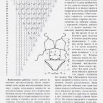 IMG_0013-230×325