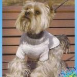 knitting-dogs-7-210×255