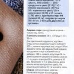 shema6-174×310
