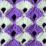 dvuhcvetnyj-uzor-veerochki-crochet-pattern-bicolor-fans1