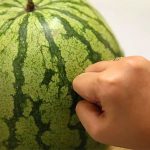 kak-vybrat-arbuz-po-zvuku