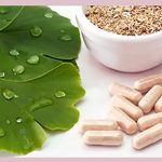 ginkgo-biloba-polza-i-vred-