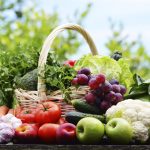 Variety of fresh organic vegetables in the garden